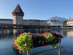 Lucern